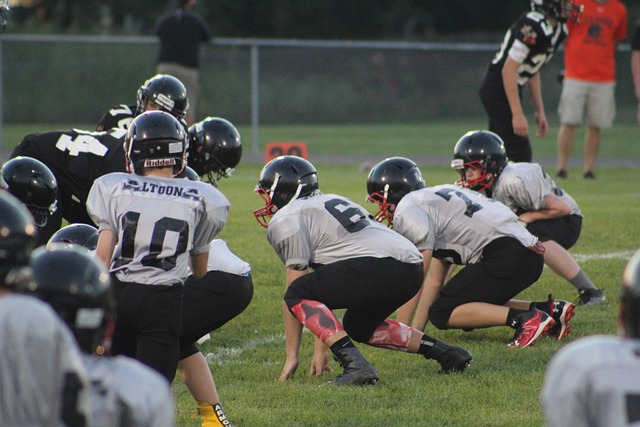 的竞技状态 的竞技状态