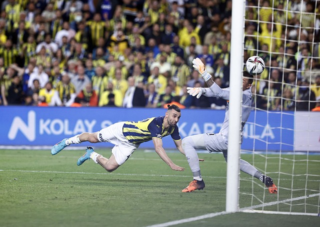 赢得关注 赢得关注