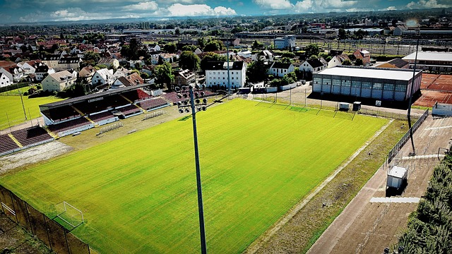 暂停比赛 暂停比赛