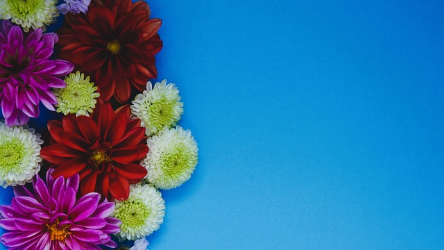 来的惊喜之 来的惊喜之