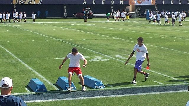 稳健的发挥 稳健的发挥