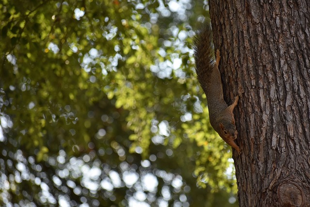 更多地考虑 更多地考虑