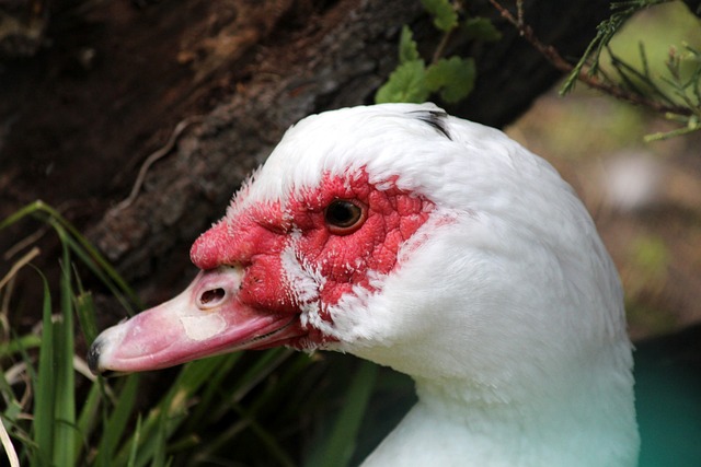 每一次在场 每一次在场